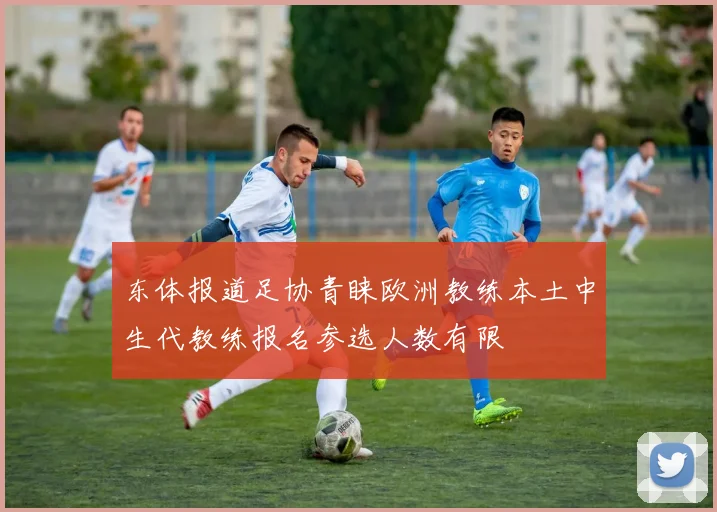 东体报道足协青睐欧洲教练本土中生代教练报名参选人数有限