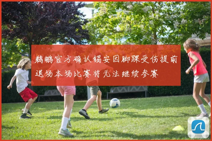 鹈鹕官方确认锡安因脚踝受伤提前退场本场比赛将无法继续参赛