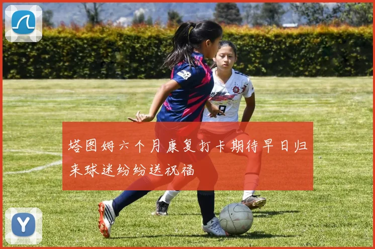 塔图姆六个月康复打卡期待早日归来球迷纷纷送祝福