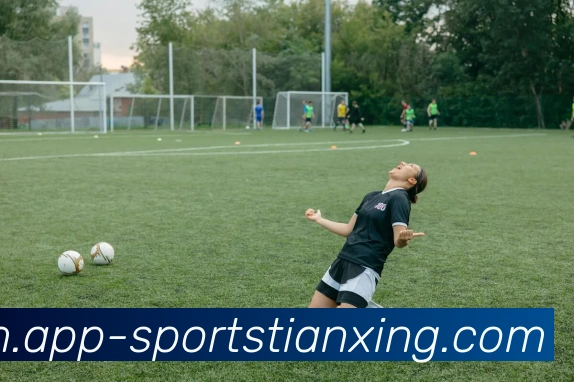 天行体育平台生态图