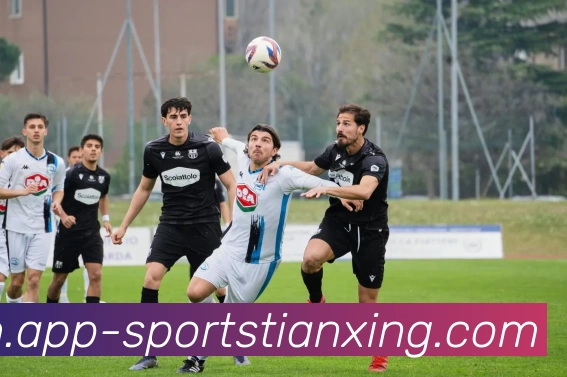 天行体育APP 封面图